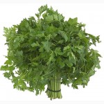 Продаем свежие травы, зелень, салаты высокого качества оптом