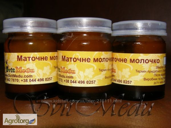 Фото 2. Продаем мед и продукты пчеловодства