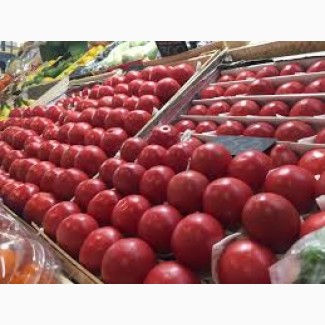 Продам томаты помидоры опт с доставкой по Украине