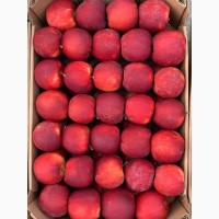Продам яблоки урожай 2019 г