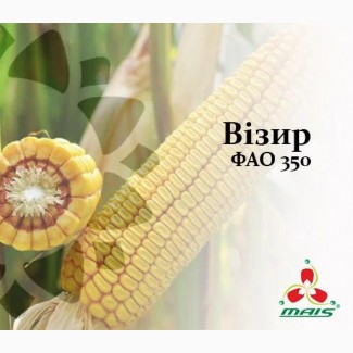 Семена кукурузы Визир, ФАО 350