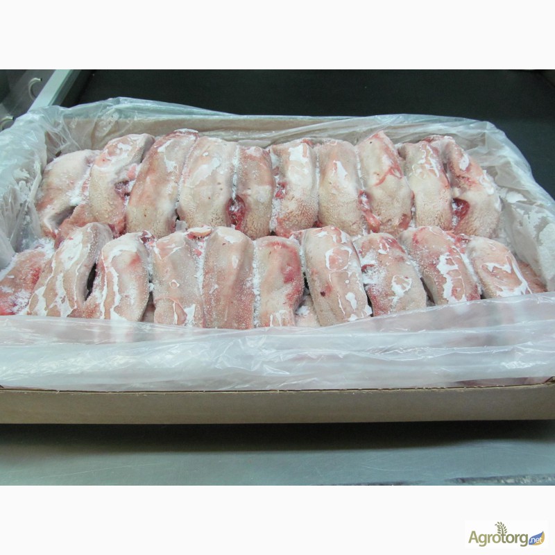 Фото 5. Продаем свиные носы хвосты языки (заморозка) АПК-ИНВЕСТ