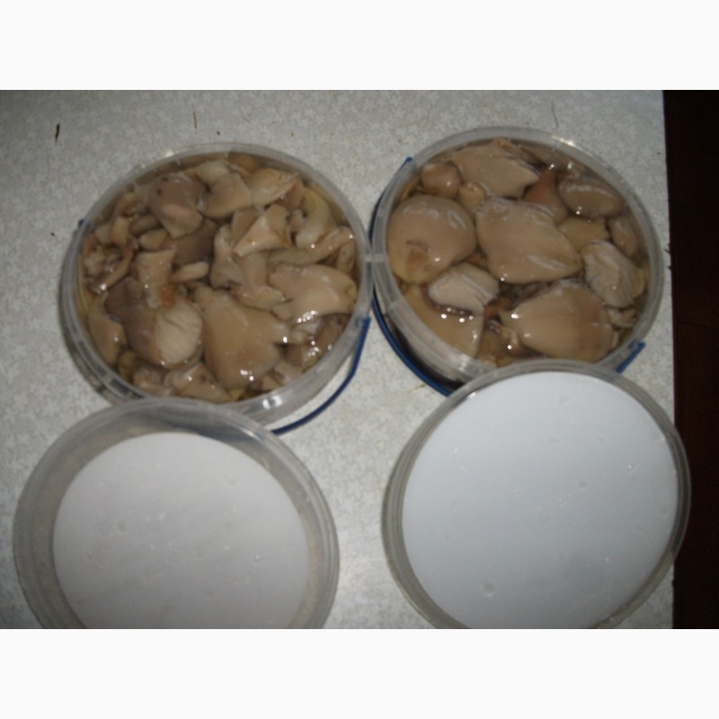 Фото 5. Купим грибы свежие и консервированные, Маринованные