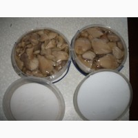 Купим грибы свежие и консервированные, Маринованные