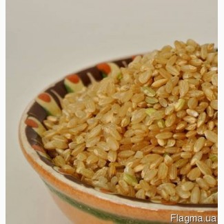 Рис бурый нешлифованный оптом от 24 грн/кг