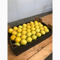 Продаємо яблука урожай 2018