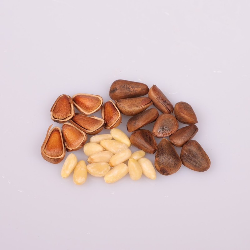 Фото 2. Best offer for pine nuts from Denmark