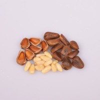 Best offer for pine nuts from Denmark