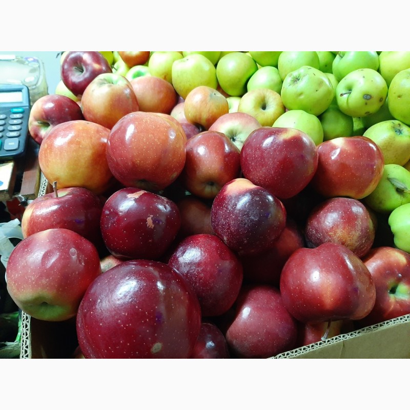 Фото 12. Продам яблоки разных сортов