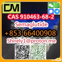 CAS 910463-68-2 Semaglutide high quality good price