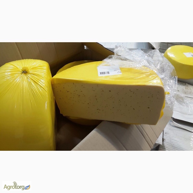 Закупаем крупным оптом сырный продукт от 20 тонн и более кадыый месяц