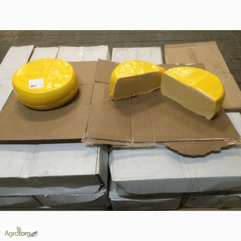 Фото 4. Закупаем крупным оптом сырный продукт от 20 тонн и более кадыый месяц