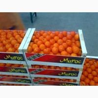 Продам мандарины Марокканские