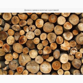 Купить дрова Днепродзержинск. Дрова колотые из акации недорого
