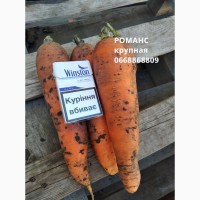 Морковь РОМАНС “Нантская”