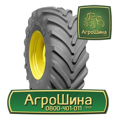 Агрошина. Агрошина 31.