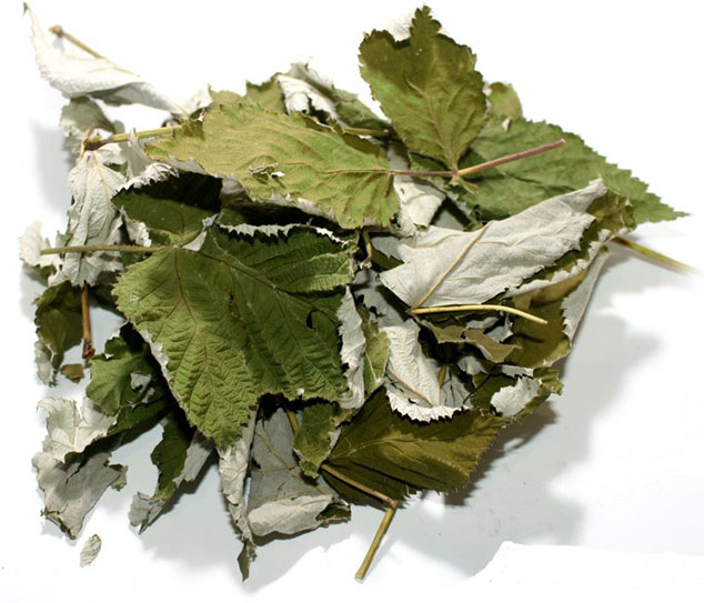Малина (лист) фасовка от 100 грамм - 1 кг