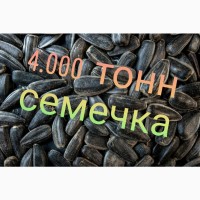 Семечка загрузка 15 машин в день