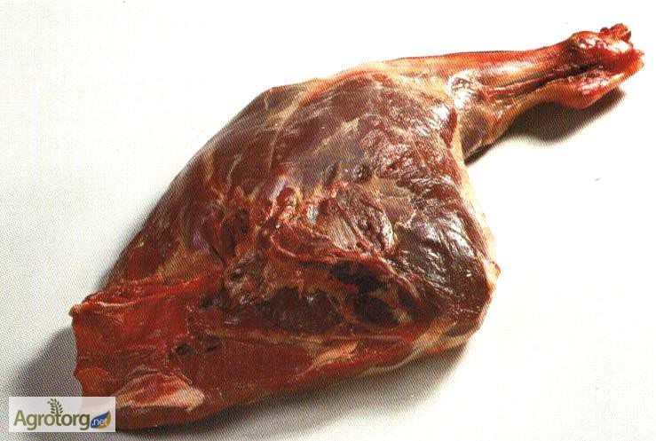Фото 2. Мясо дикого кабана