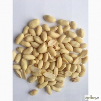 Компания Продаст арахис болд 50/60 из Индии по оптовым ценам и в любых количествах