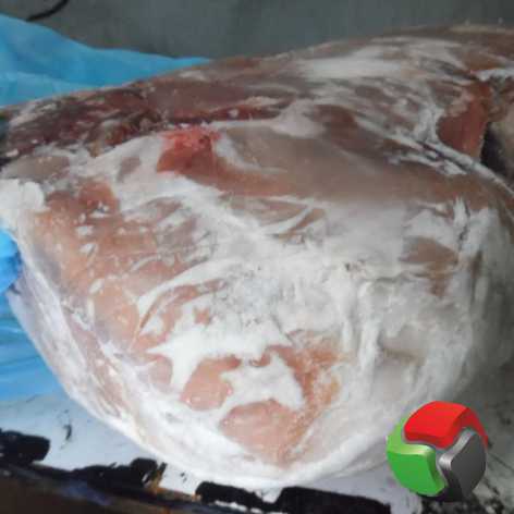 Фото 3. Продам окорок свиной без кости от 1-й тонны