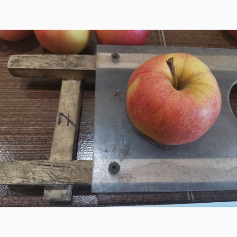 Фото 2. Продам яблоко (Гала)