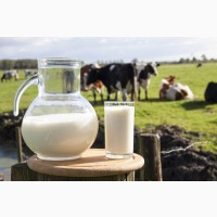 Продадим молоко коровье оптом