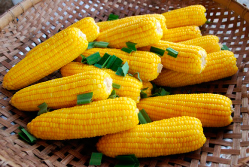 Фото 9. Купим оптом кукурузу(3-й класс)