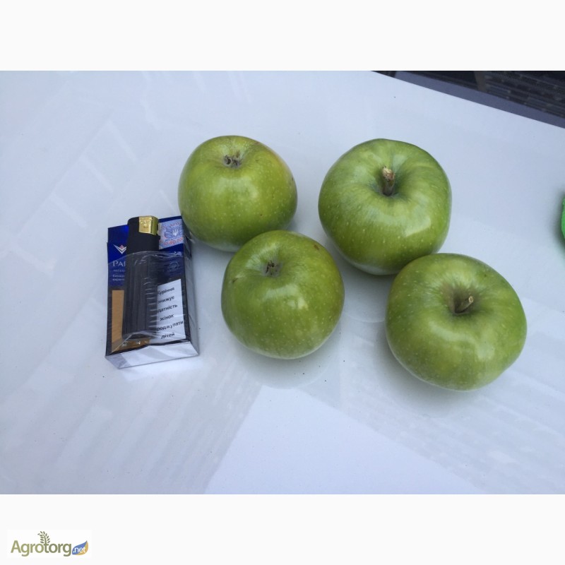 Фото 3. Продам яблоки голден, семеренка, опт 5 - 5, 5грн/кг