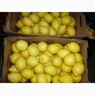 Продаем лимоны оптом, мелким оптом