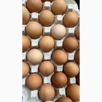 Продаємо яйця курячі оптом та в роздріб