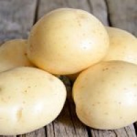 Продам насіння картоплі ІІ репродукції, сорти Лаперла, Звіздаль, Чарунка, Арія, Гала