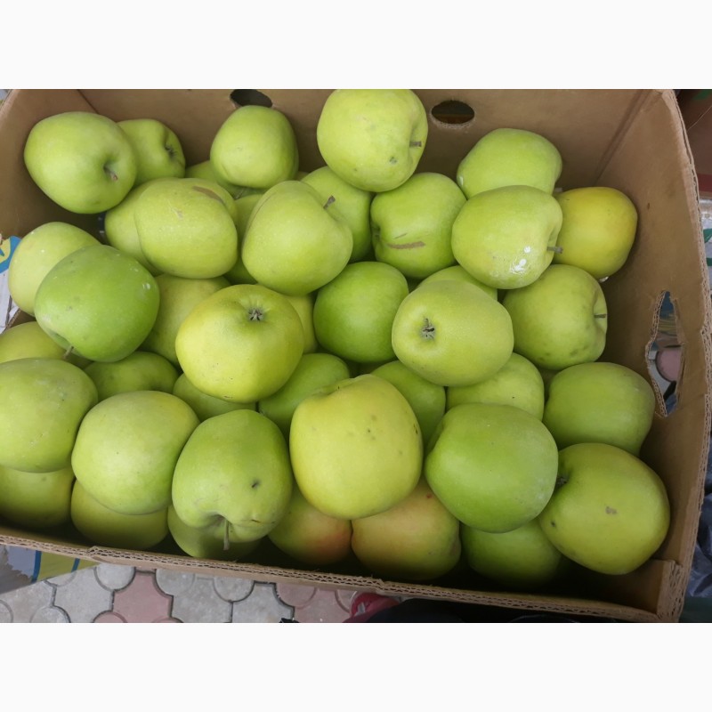Фото 3. Продам яблука різних сортів