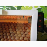 Лучшие инкубаторы Тандем с закладкой от 60 до 3000 яиц. Выводок на максимуме