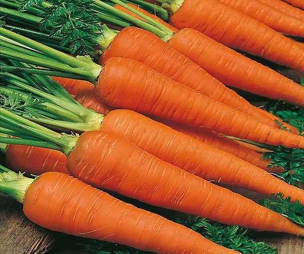 Фото 6. Top offer price fresh carrots