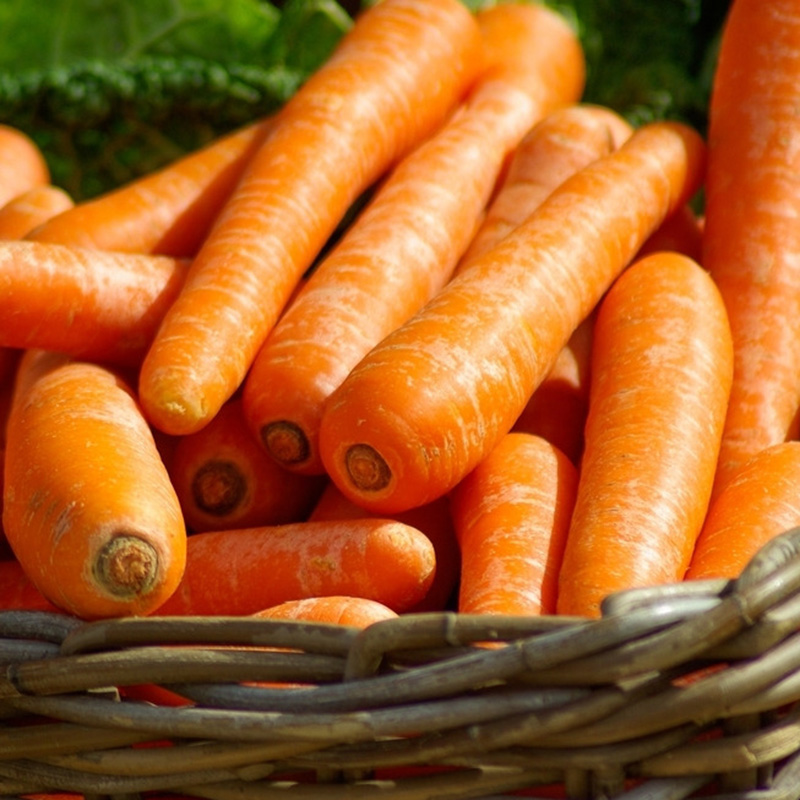 Фото 7. Top offer price fresh carrots