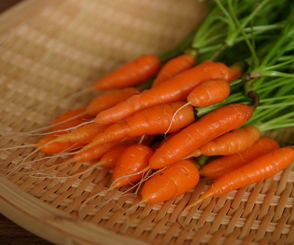Фото 5. Top offer price fresh carrots