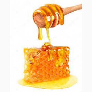 Дорого покупаю мед