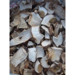 Продам білі сухі гриби оптом