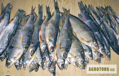 Дальневосточная вяленая рыба, красная и чёрная икра, живые раки, осетрина и прочие вкуснос