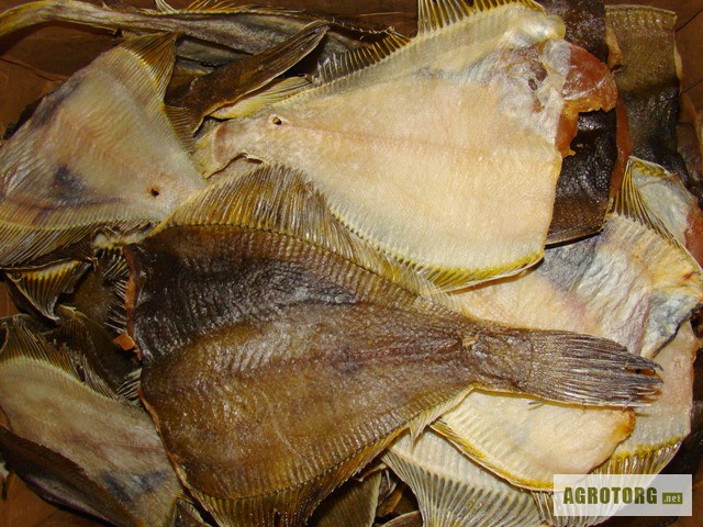 Фото 2. Дальневосточная вяленая рыба, красная и чёрная икра, живые раки, осетрина и прочие вкуснос
