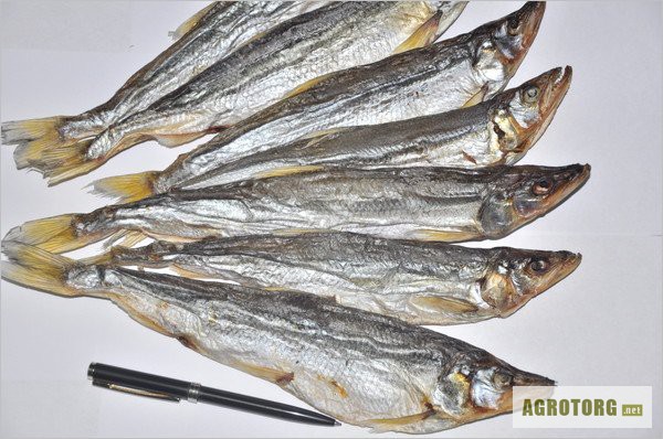 Фото 3. Дальневосточная вяленая рыба, красная и чёрная икра, живые раки, осетрина и прочие вкуснос