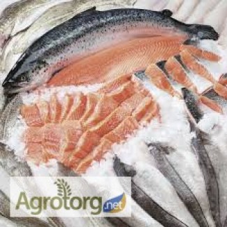 Рыба оптом: сельдь, скумбрия, салака, хек, хребты лосося, минтай и пр