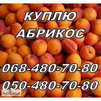 Куплю абрикос оптом, (не порченную) на заморозку и сушку. Харьков и соседние области