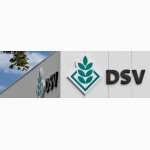 Продаж гібридів DSV озимий ріпак Верітас КЛ супер ціна