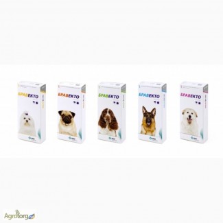 Bravecto - инсектоакарицидные таблетки Бравекто для собак