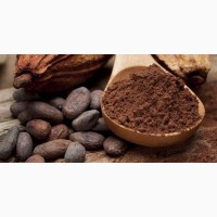 Какао-порошок обезжиренный 10-12%