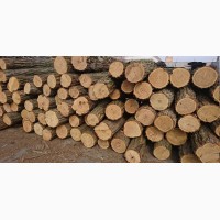 Продам дрова Ківерці купити дрова Луцьк ціна