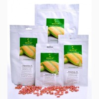 Безкоштовно консультуємо по вирощуванню солодкої кукурудзи Мнагор
