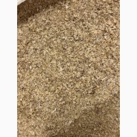 Висівки пшеничні насипом / у мішку 25-50 кг